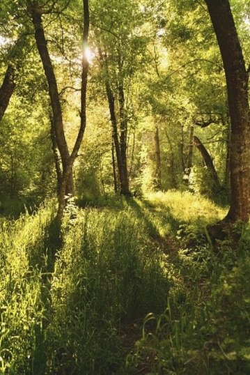 Portrait by Hayli Jo