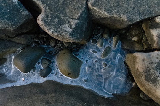 Portrait by Hayli Jo