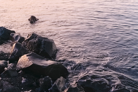 Portrait by Hayli Jo