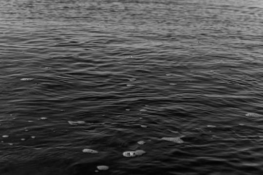 Portrait by Hayli Jo