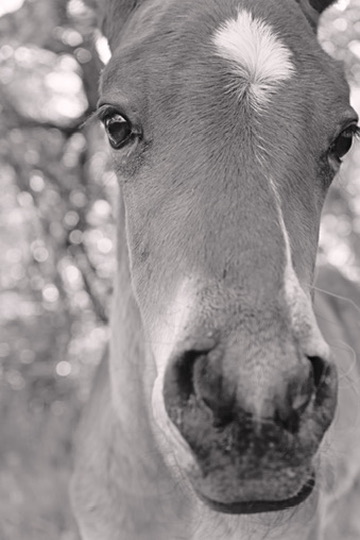 Portrait by Hayli Jo