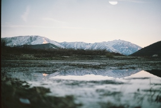 Portrait by Hayli Jo