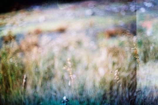 Portrait by Hayli Jo