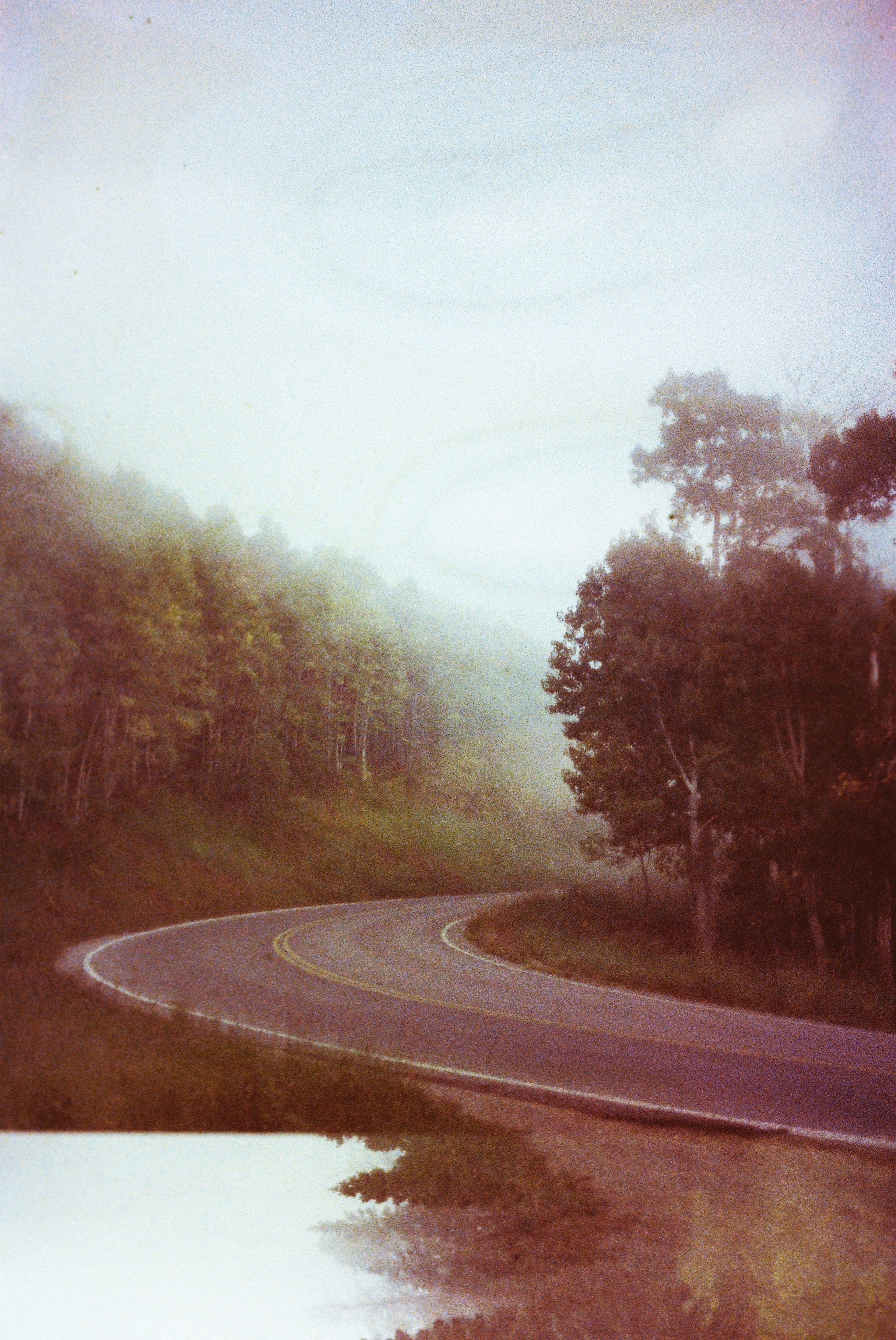 Portrait by Hayli Jo